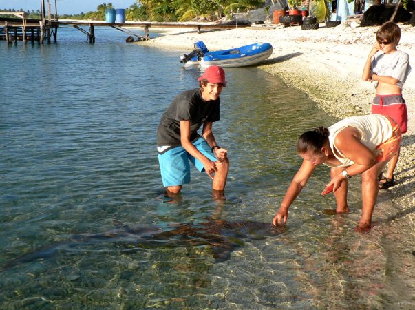 55- Romain frime a cote de Tamaro, le requin nourrice 